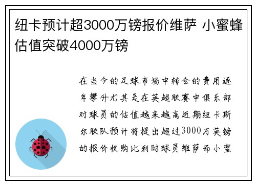 纽卡预计超3000万镑报价维萨 小蜜蜂估值突破4000万镑